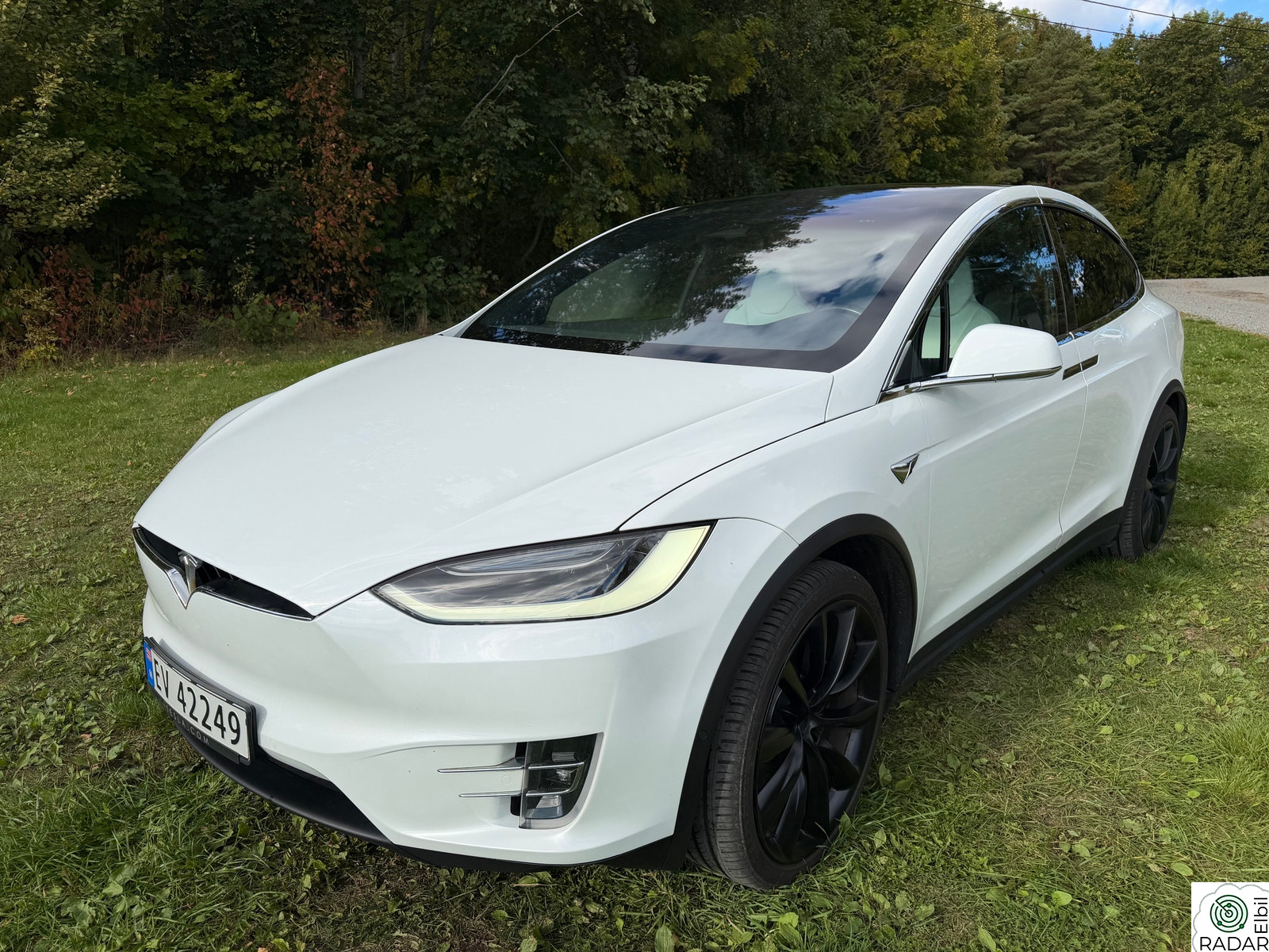 TESLA Model X 100D 4WD 5-s