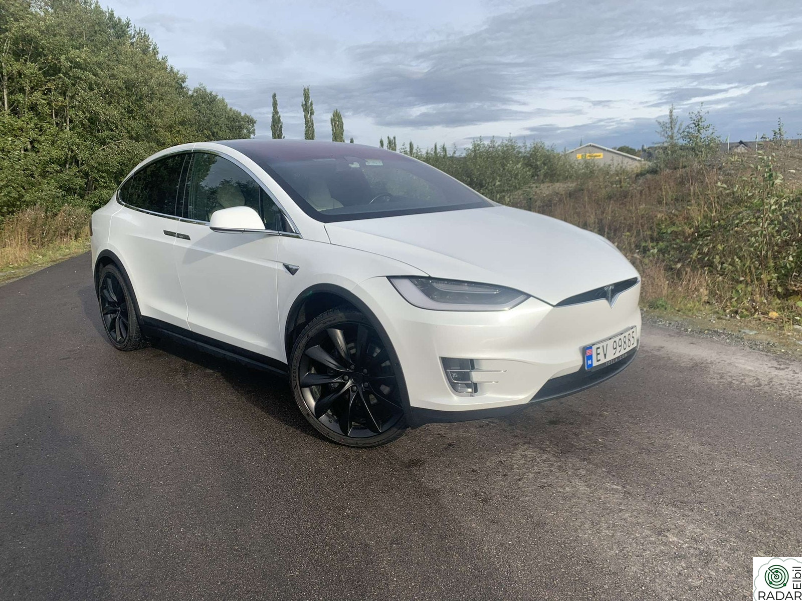 TESLA Model X 100D 4WD 5-s