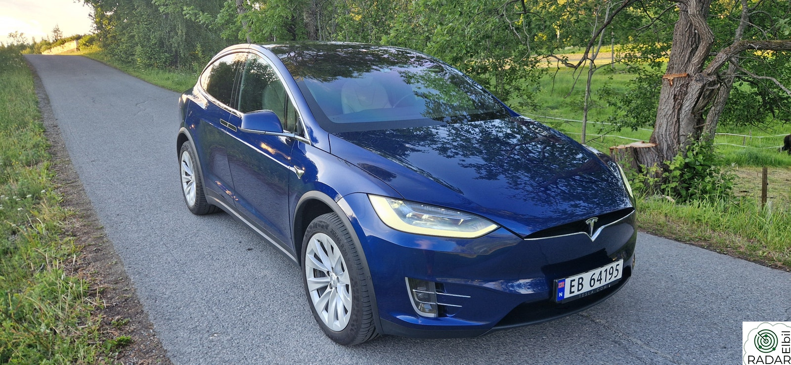 TESLA Model X Long Range Raven 7s