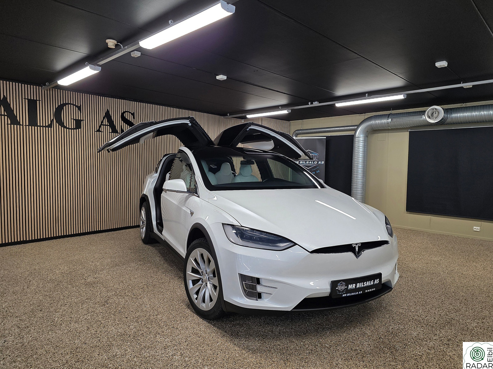 TESLA Model X 75D 4WD 6-s / FSD
