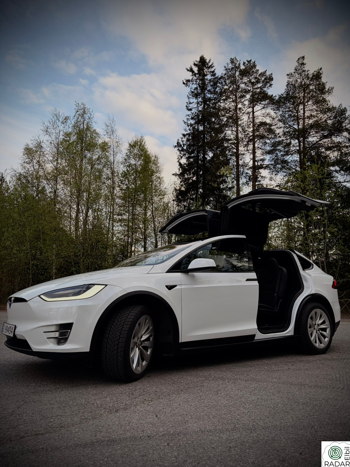 TESLA Model X HVIT (PPF) 100D 4WD 7-s