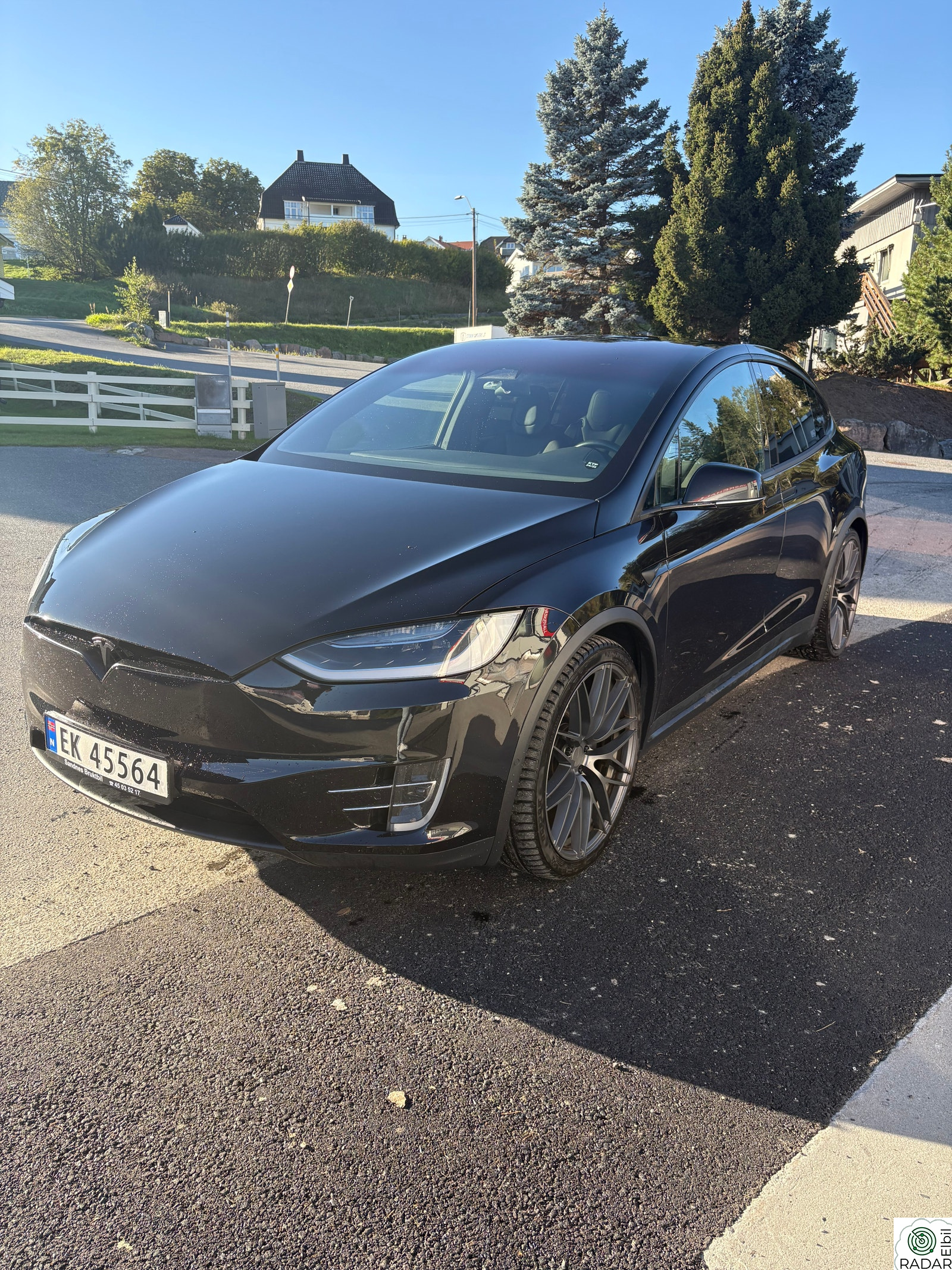 TESLA MOTORS Model X 100D 4WD 6-s