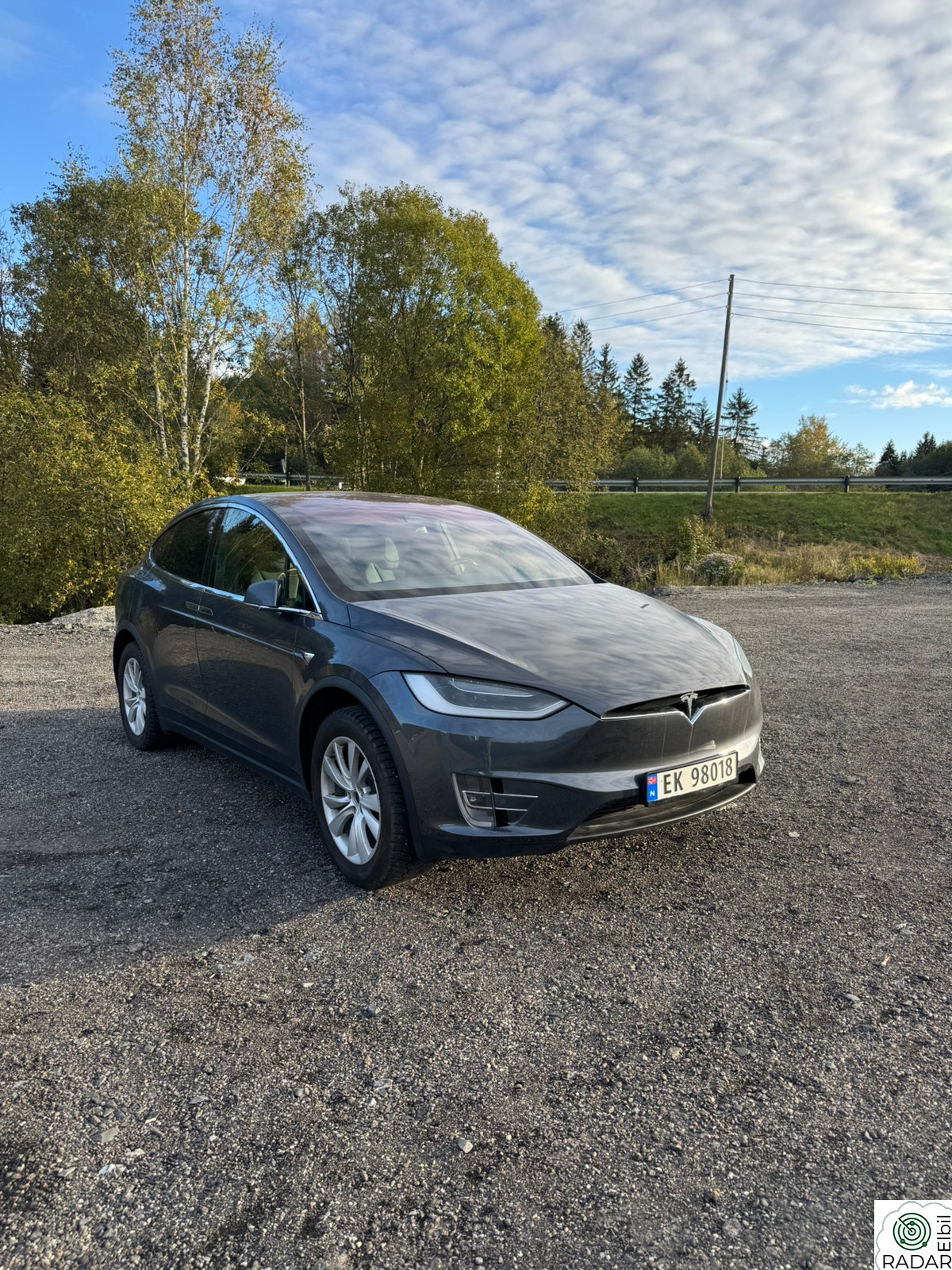 TESLA Model X 100D 4WD 5-s