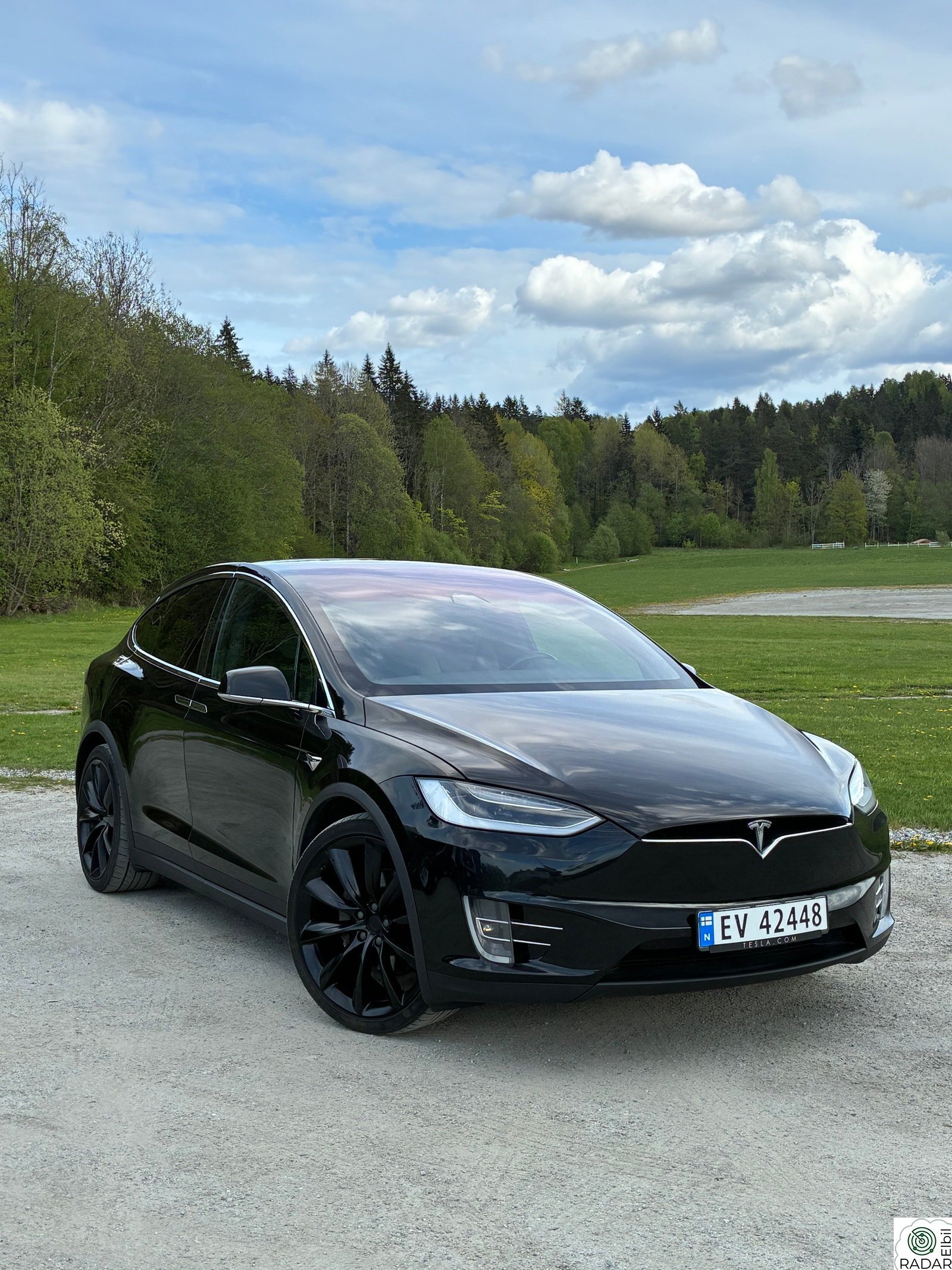 TESLA Model X 100D 4WD 7-s