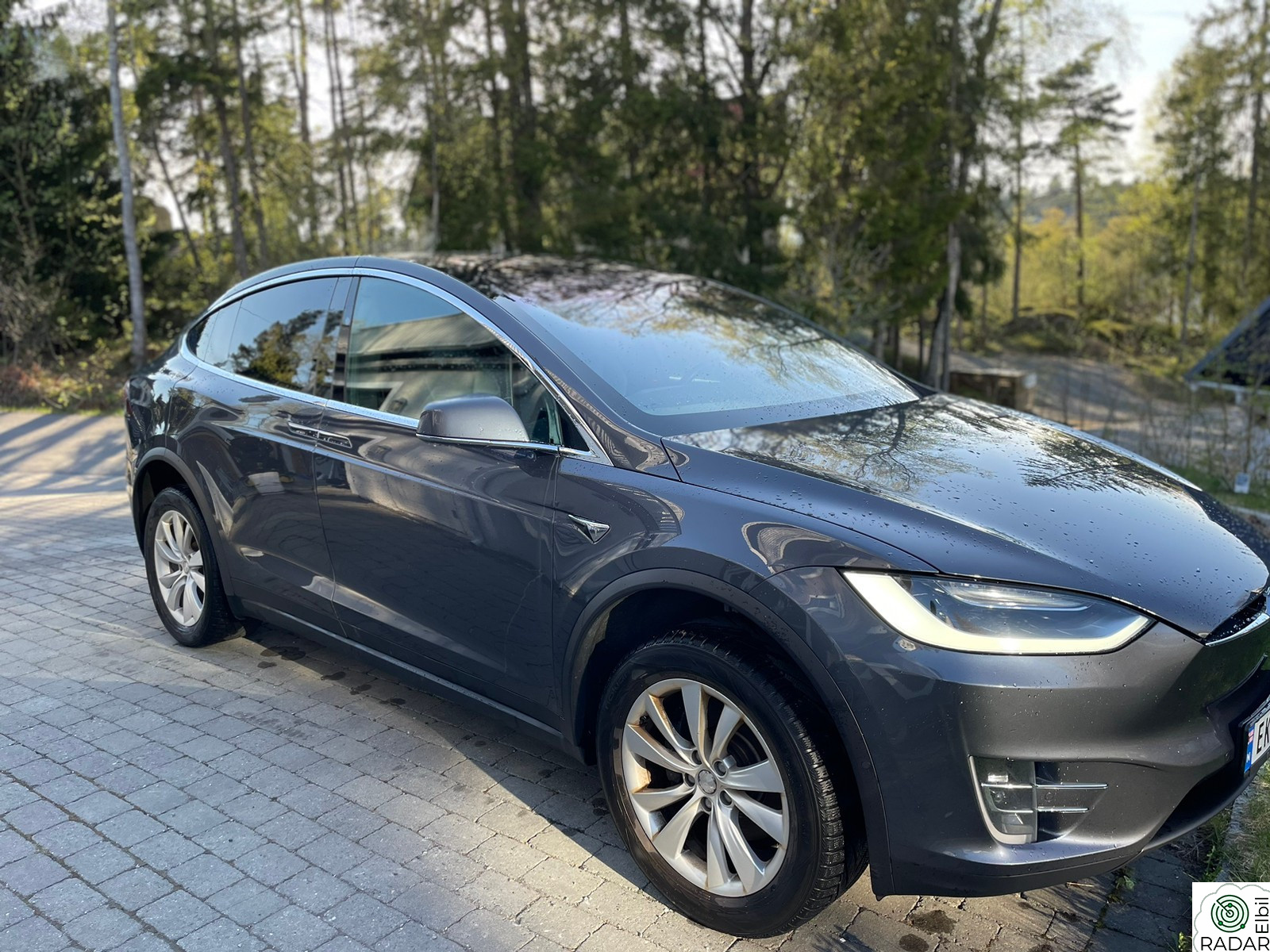 TESLA MOTORS Model X 100D 4WD 6-s