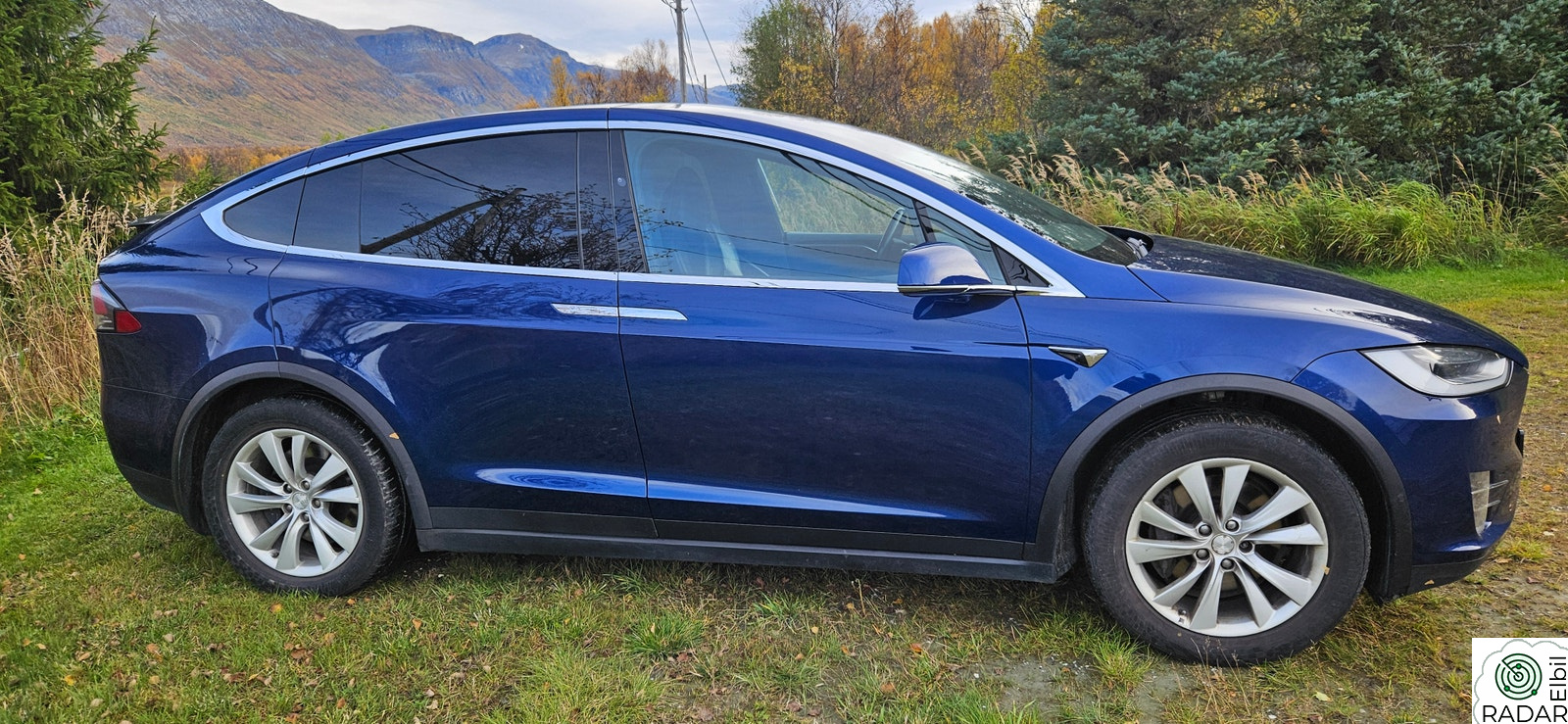 TESLA MOTORS Model X 100D 4WD 6-seter