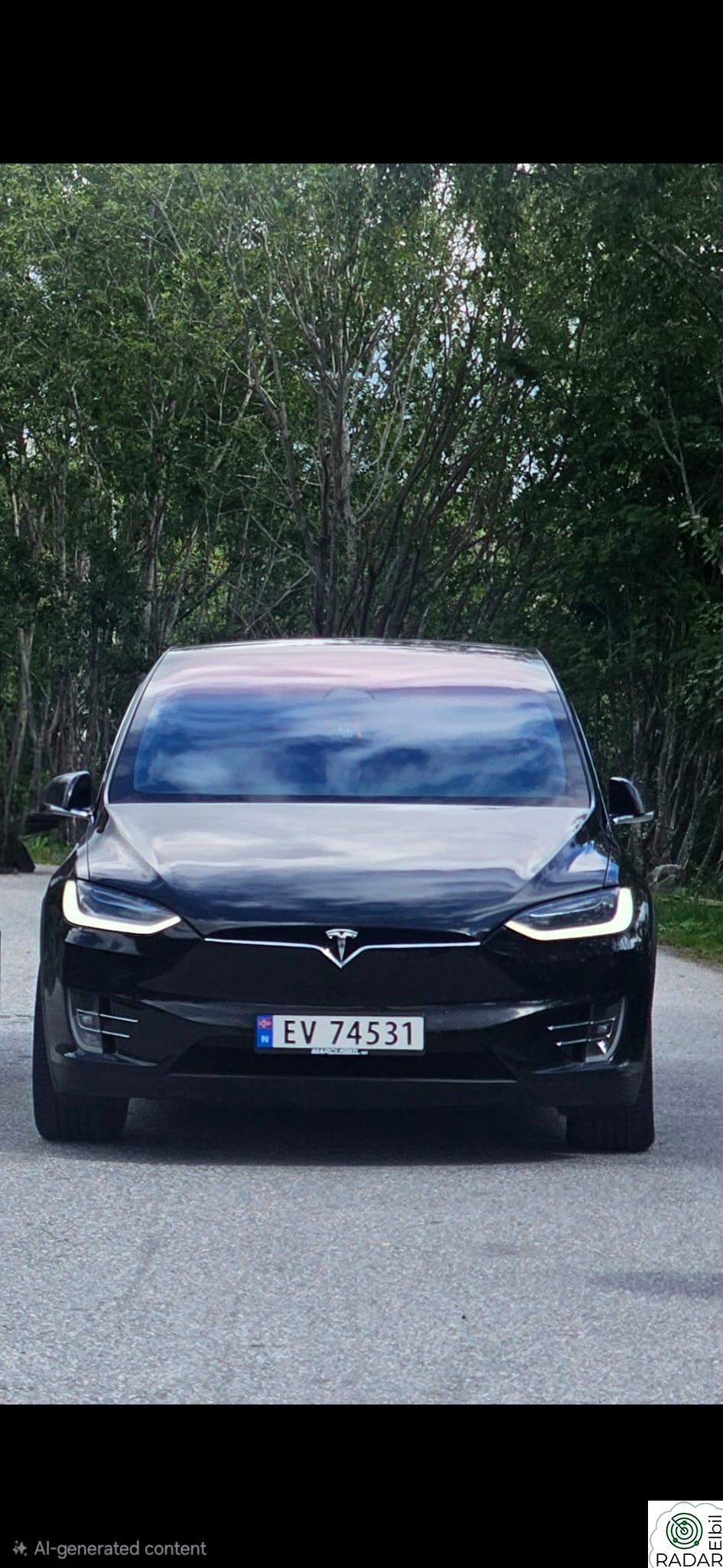 TESLA Model X 100D 4WD 7-s