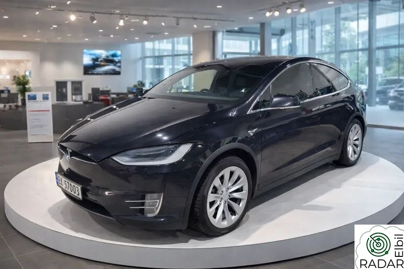 TESLA MOTORS Model X 100D 4WD 6-s