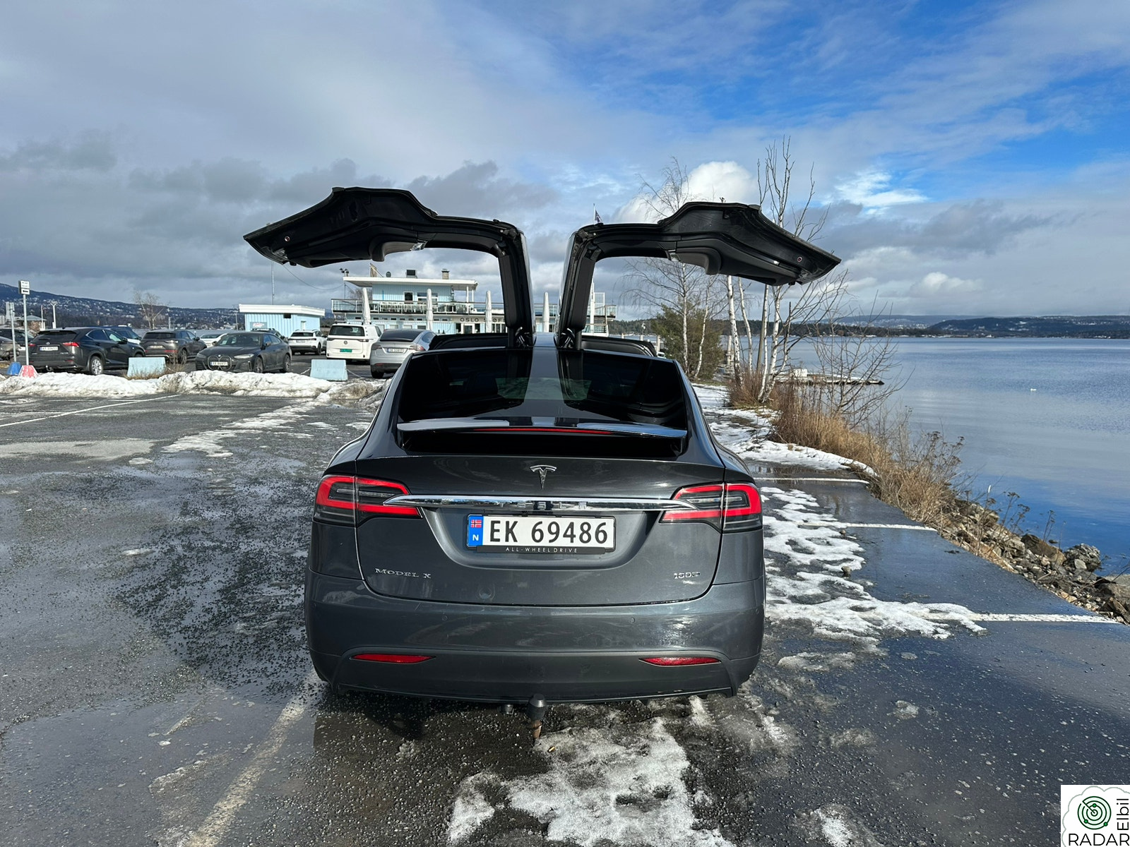 TESLA Model X 100D 4WD 5-S