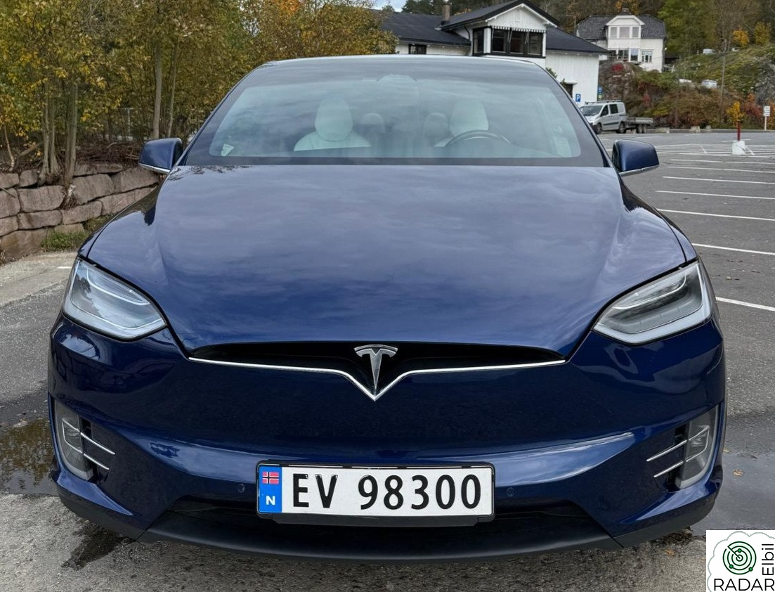 TESLA Model X 100D Raven 4WD 7-s