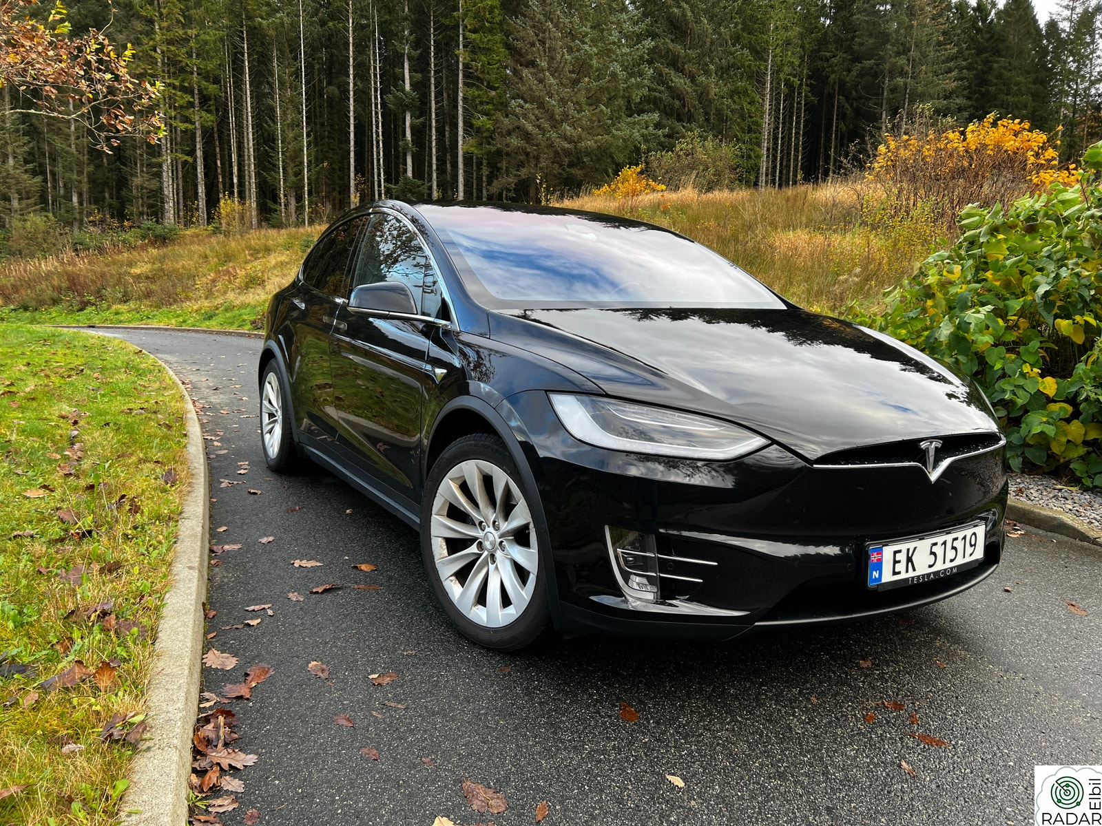 TESLA MOTORS Model X 75D 4WD 5-s