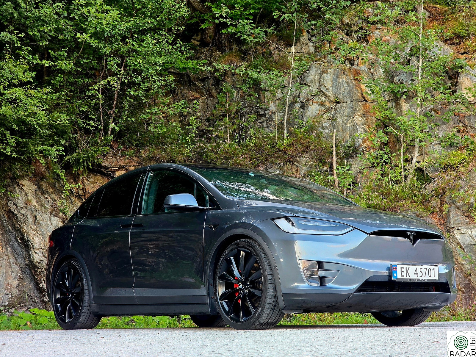 TESLA MOTORS Model X P100D Performance 4WD 5-s