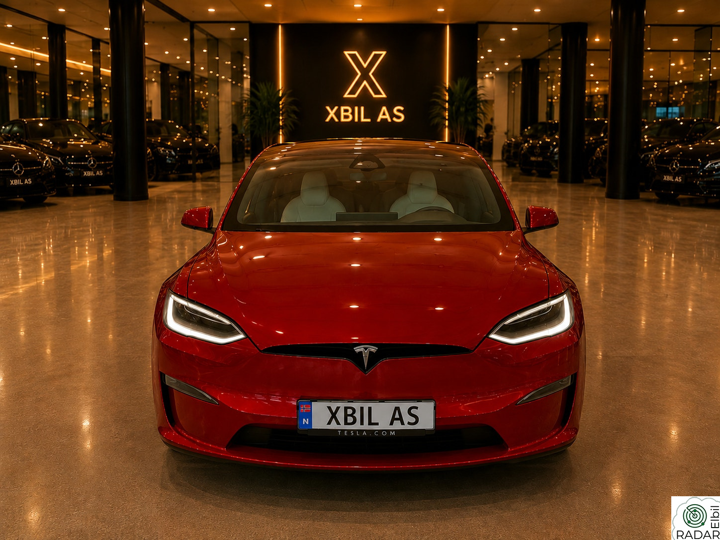 TESLA Model X Plaid/6s/22"/1,5 år ekstra tesla garanti/EAP