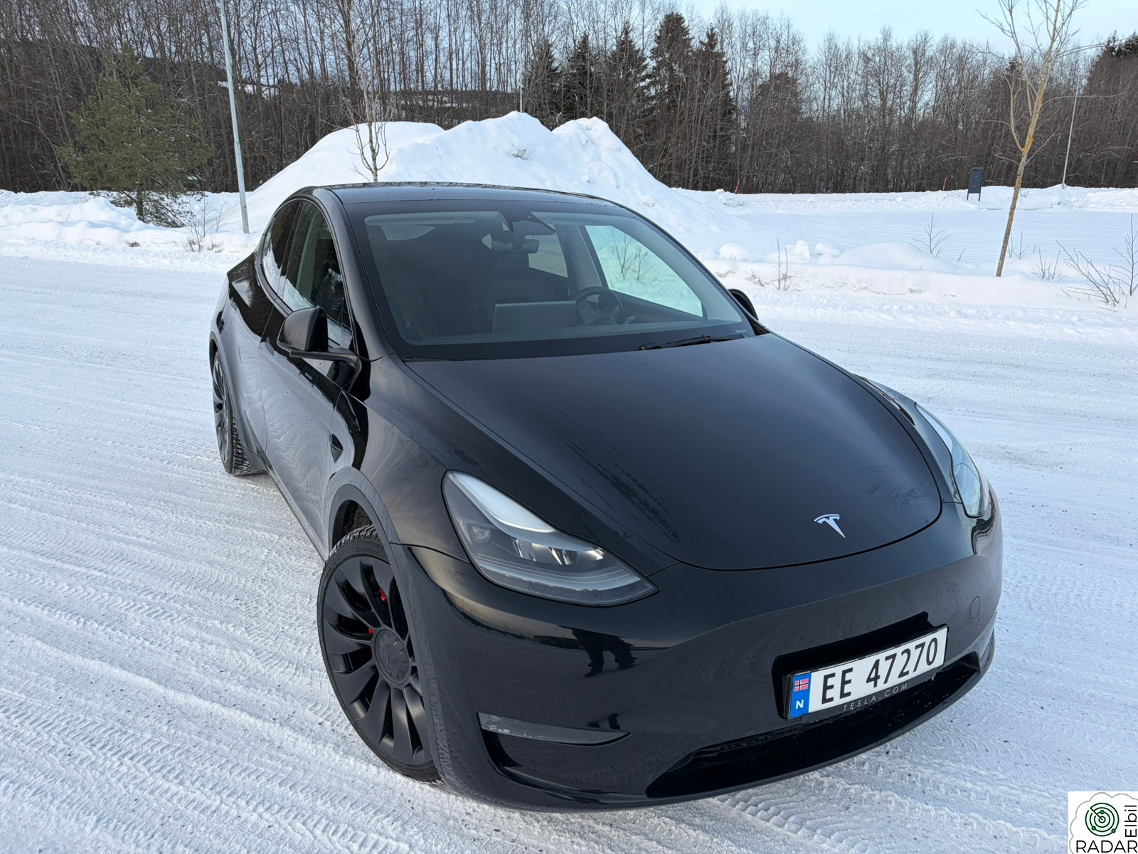 TESLA Model Y Performance