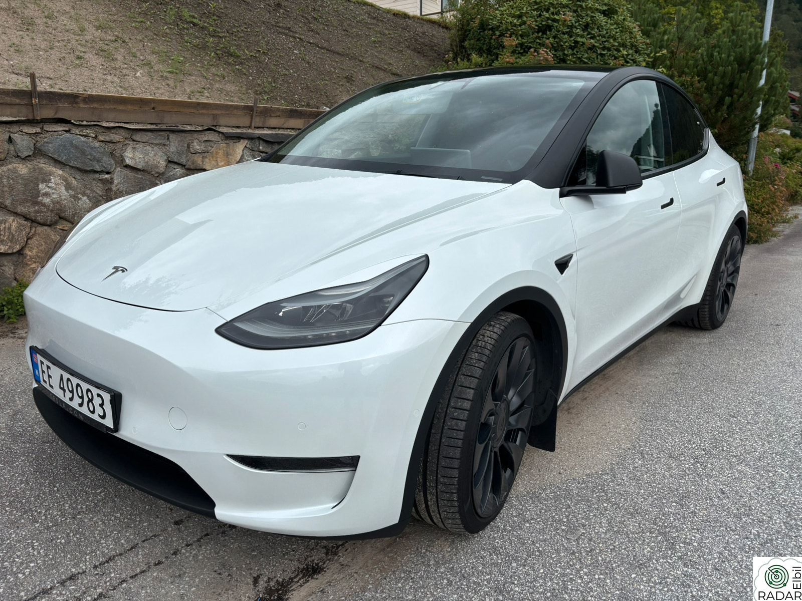 TESLA Model Y Performance