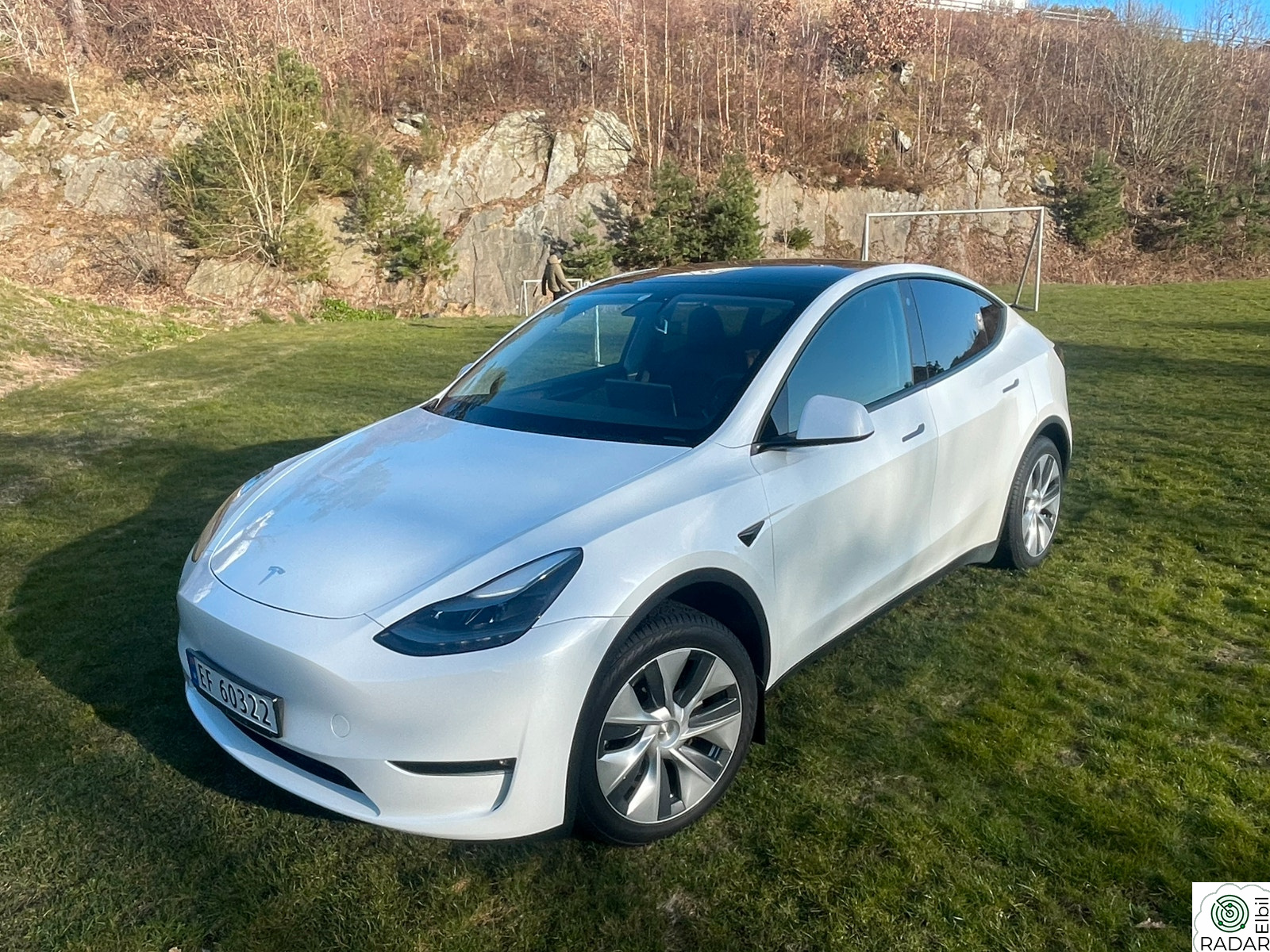 TESLA Model Y Long Range AWD