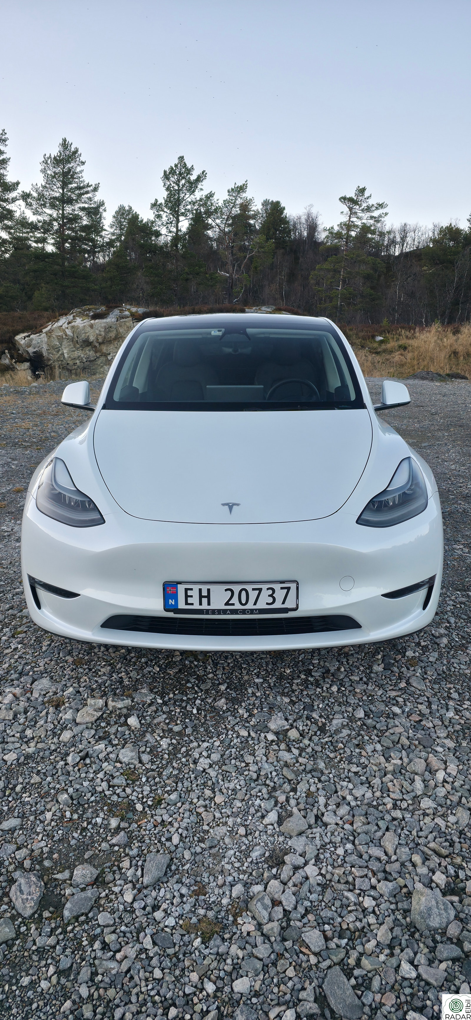 TESLA Model Y Premium Long Range AWD