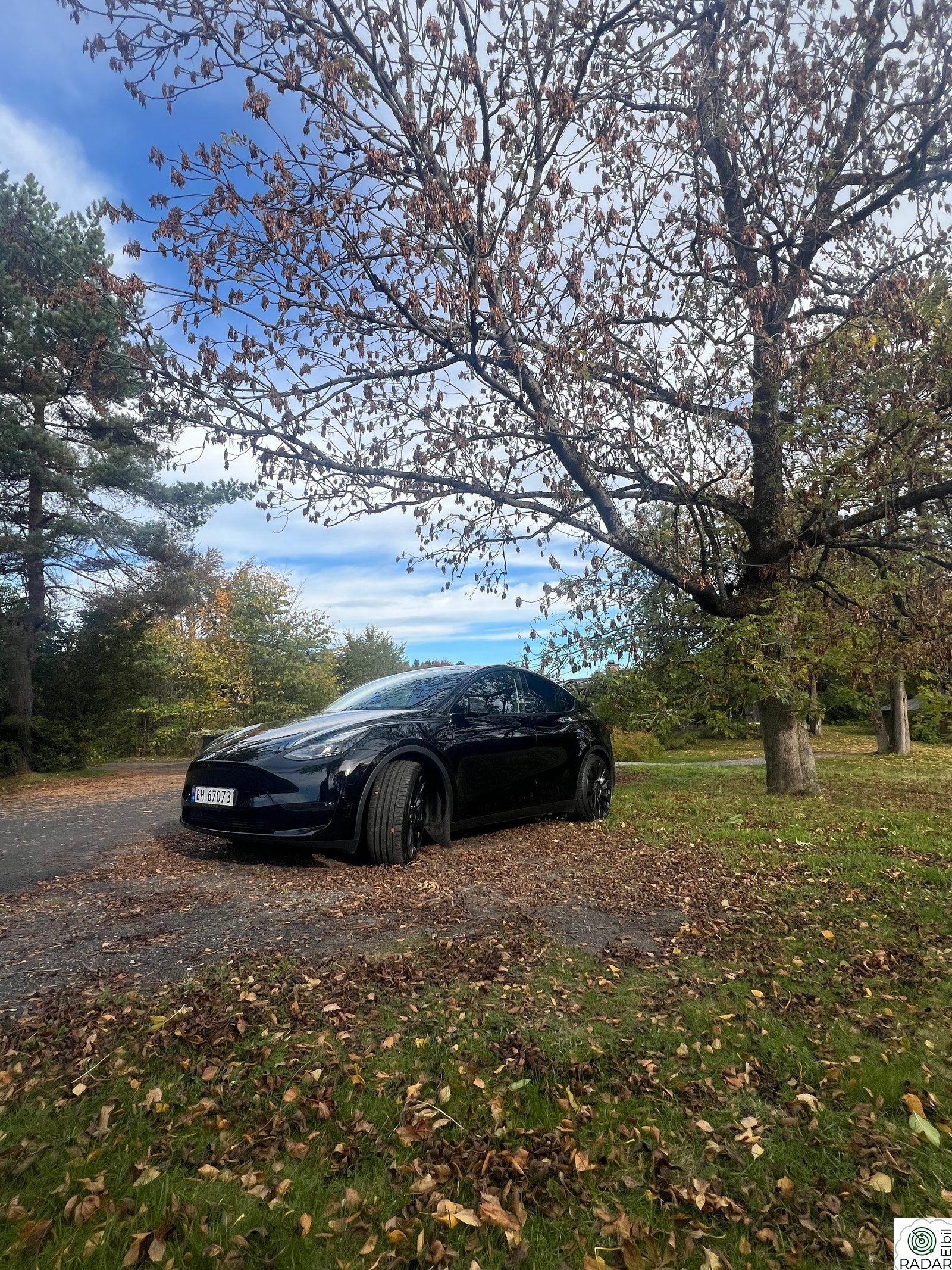 TESLA Model Y Performance AWD
