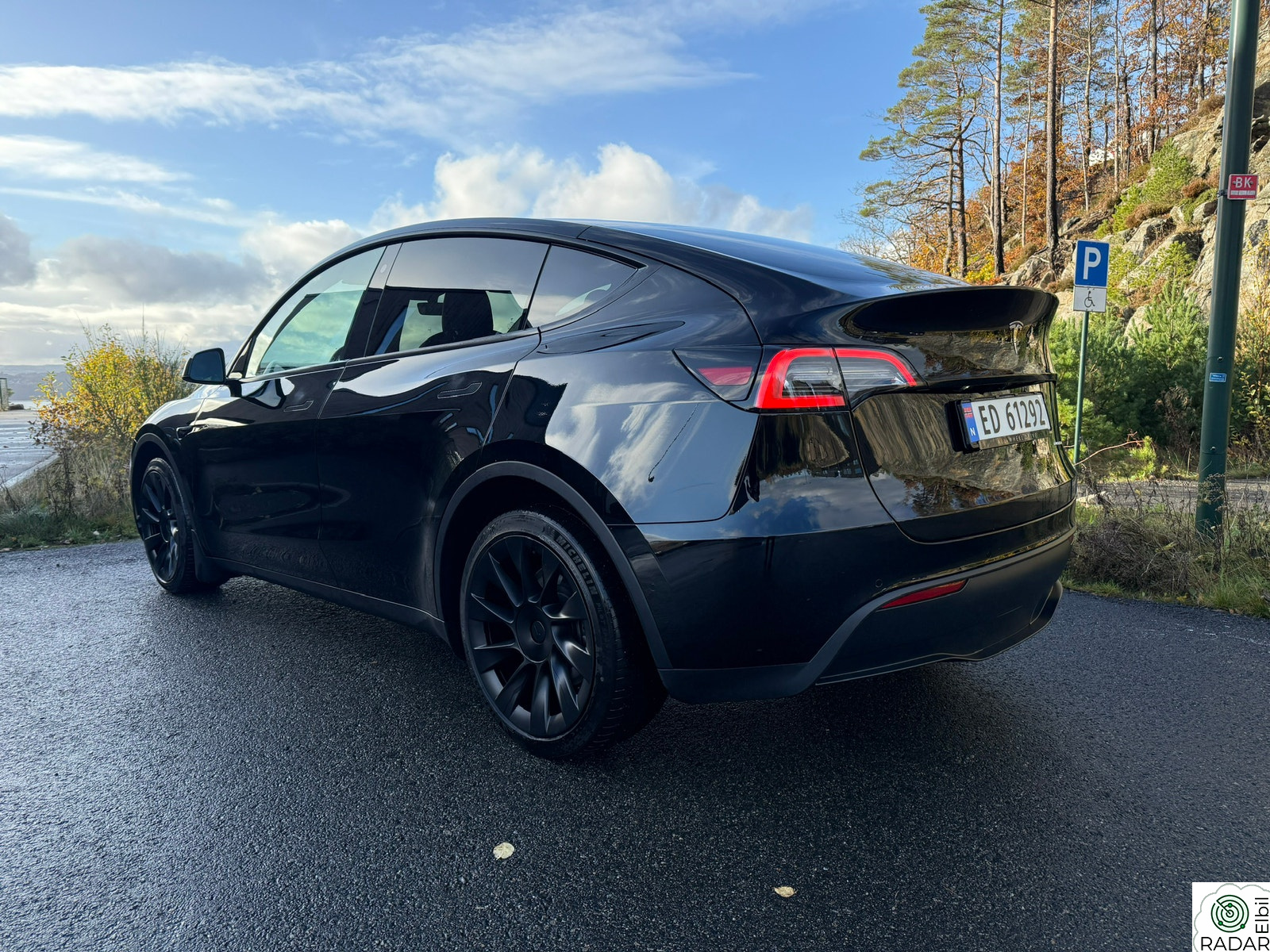 TESLA Model Y Long Range AWD