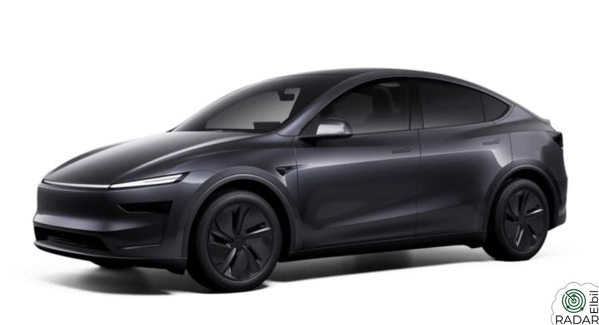 TESLA Model Y Premium Long Range AWD Juniper