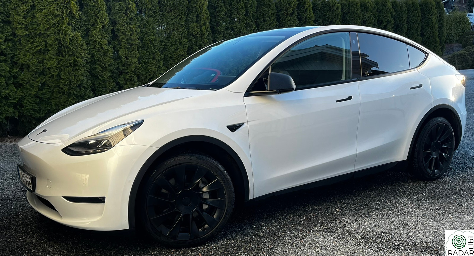TESLA Model Y LR AWD//Drop-off coating//Acceleration boost//20"