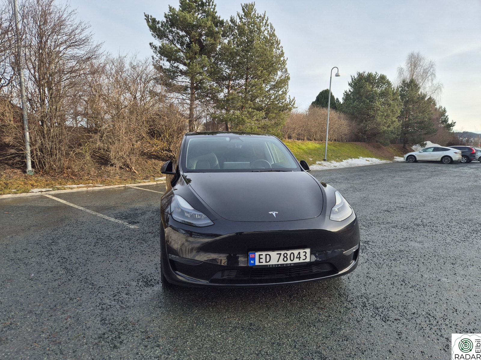 TESLA Model Y Long Range AWD