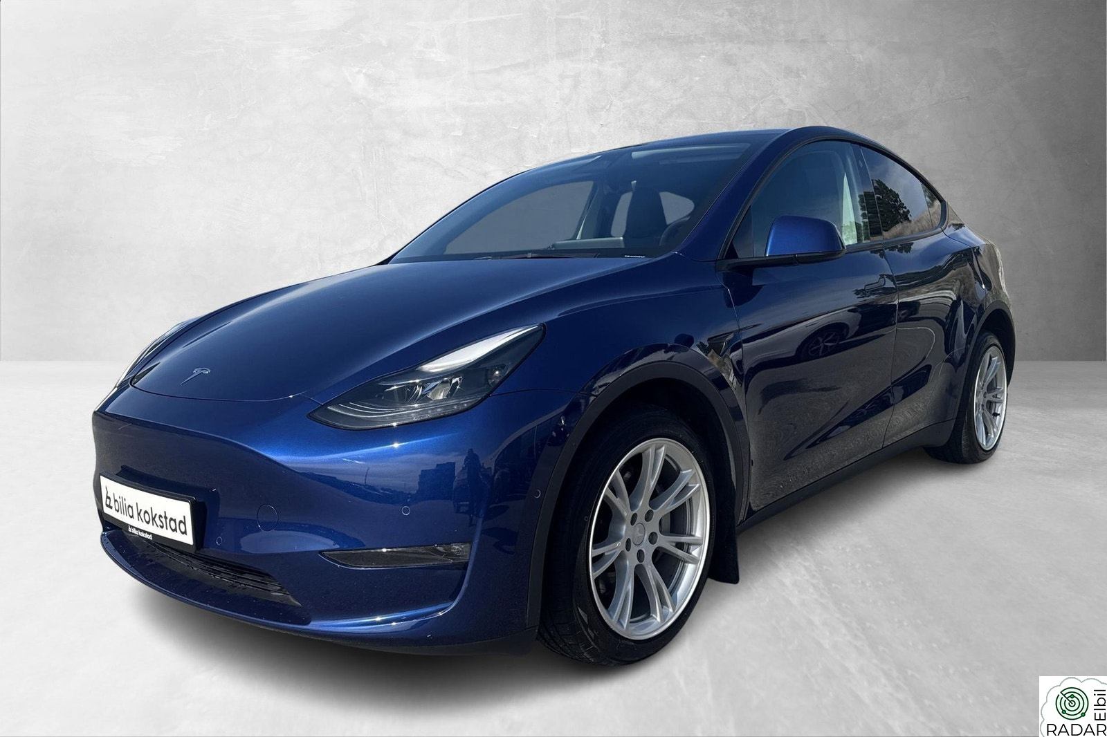 TESLA Model Y LR/AWD/Premium/Autopilot/360 Kamera/S+V