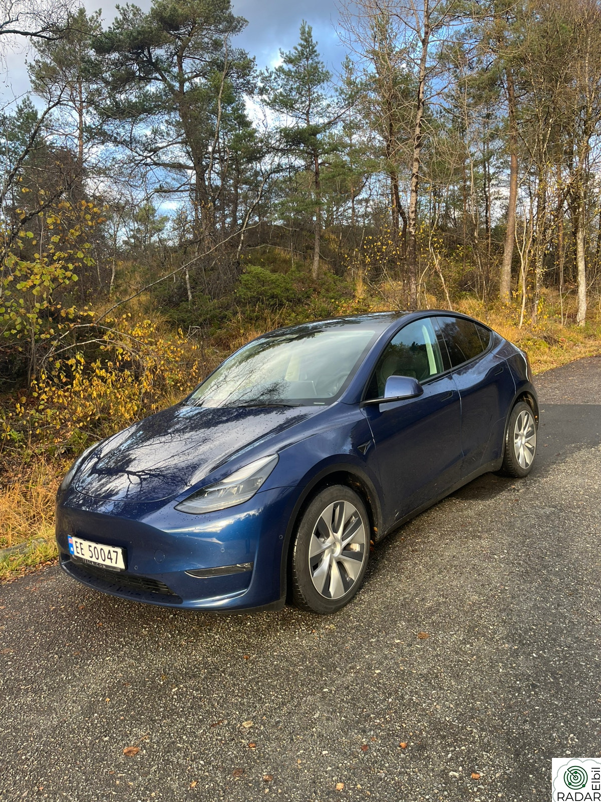 TESLA Model Y Long Range AWD