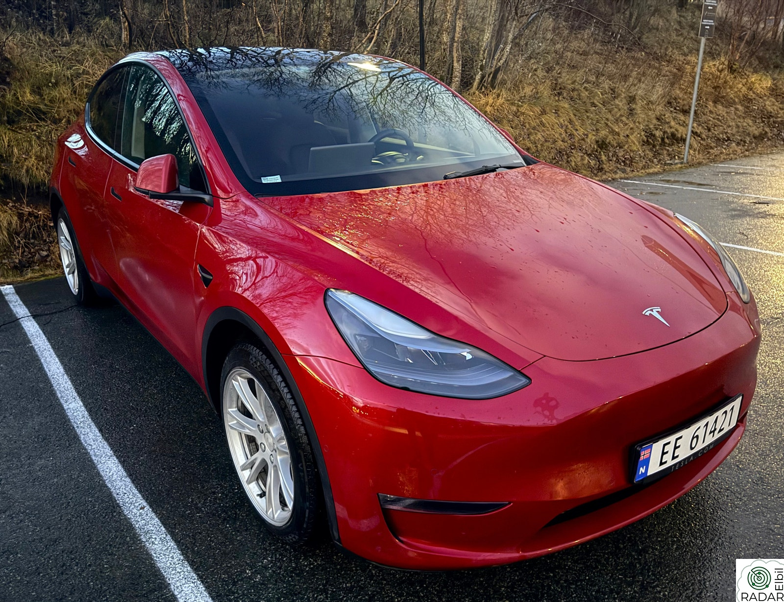 TESLA Model Y Long Range AWD