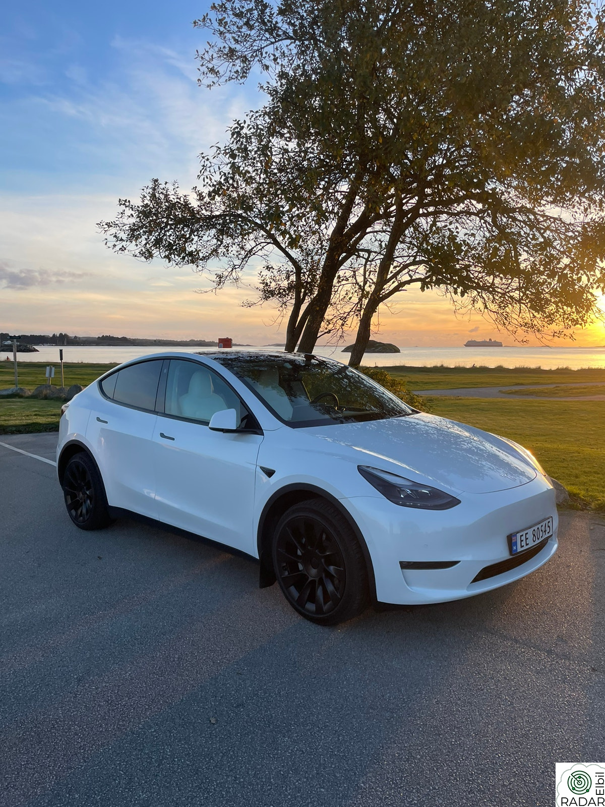 TESLA Model Y Long Range AWD