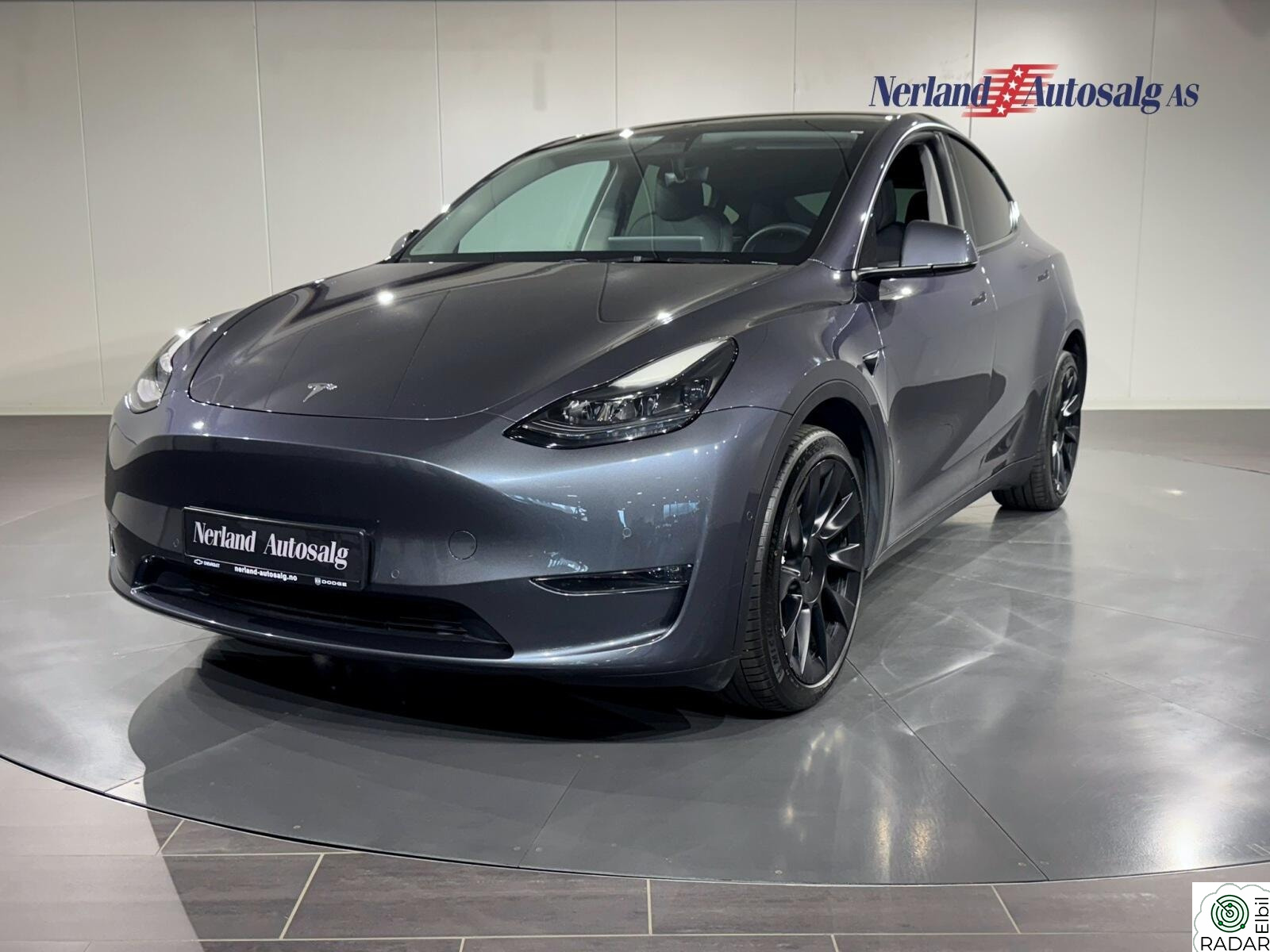 TESLA Model Y Long Range AWD /KROK/NY PKK/ACC/AWD/SKINN