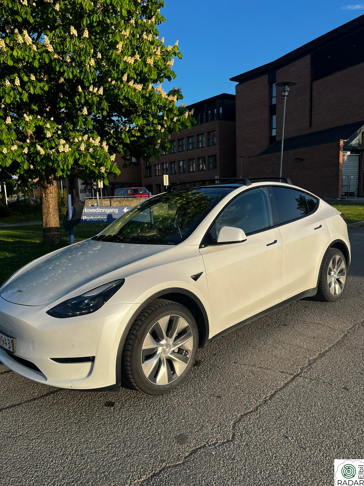 TESLA Model Y Long Range AWD