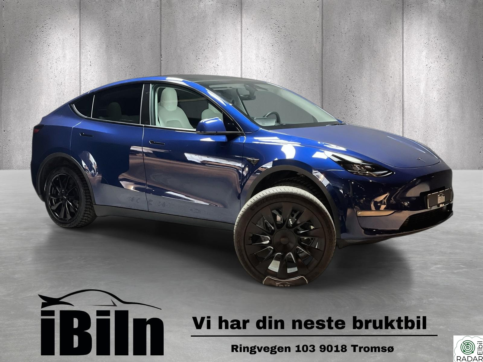 TESLA Model Y Long Range, Premium skinn, Krok, Piggdekk,