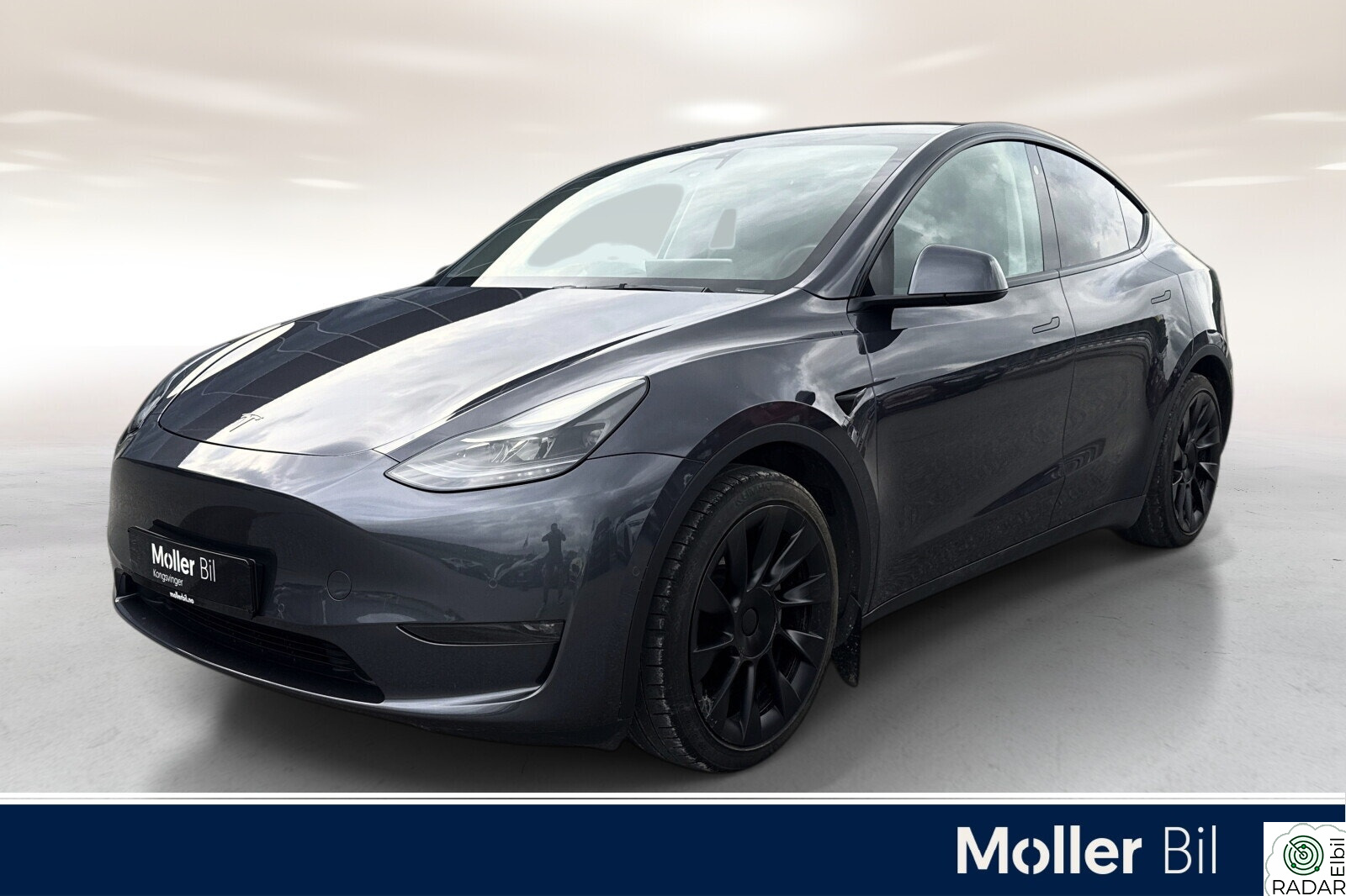 TESLA Model Y Longe Range AWD, Hengerfeste, Panoramatak, Skinn