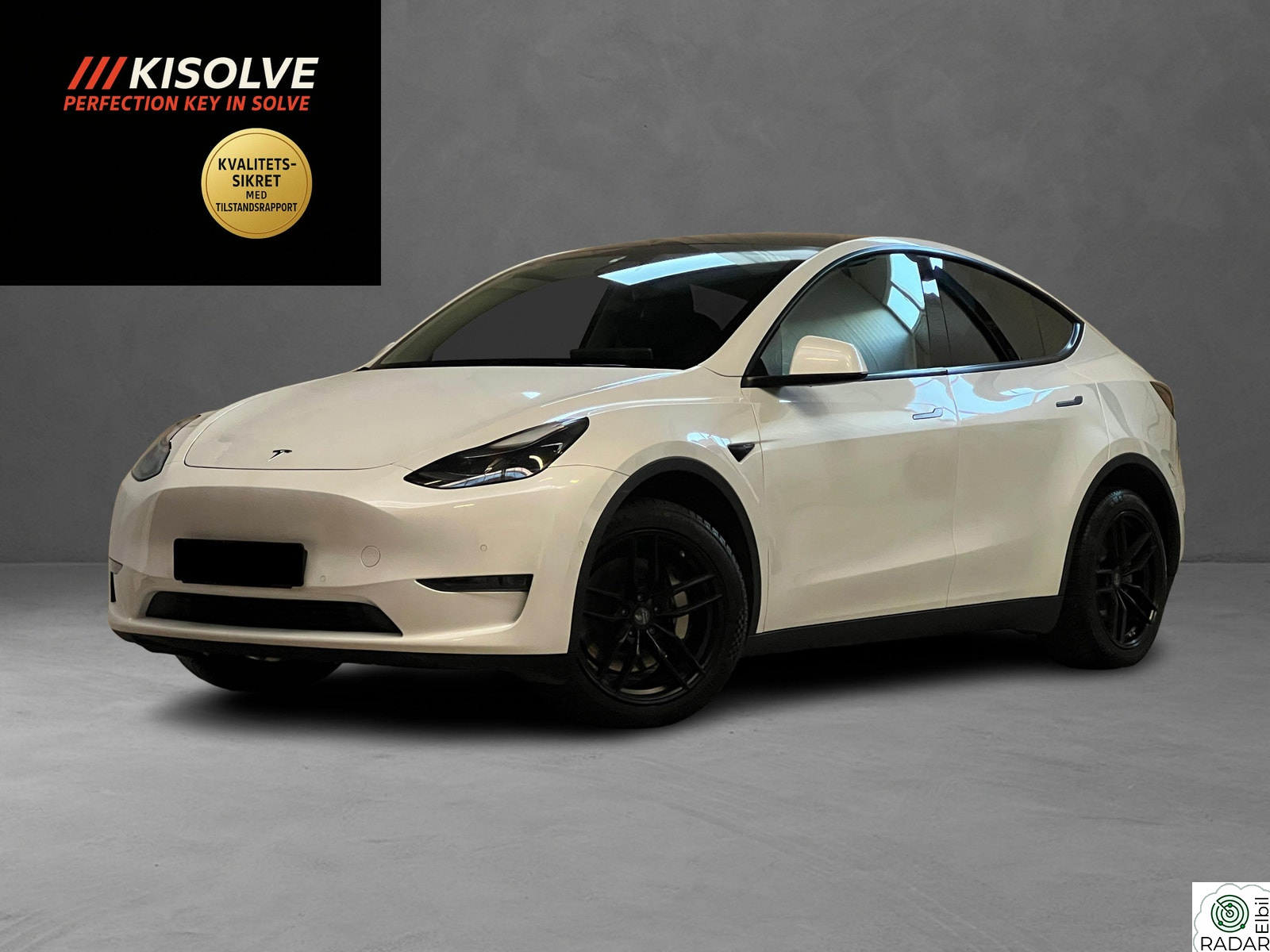 TESLA Model Y LongRange/AWD/AutoP/DualM/Premium/Skinn/Navi/Garanti++