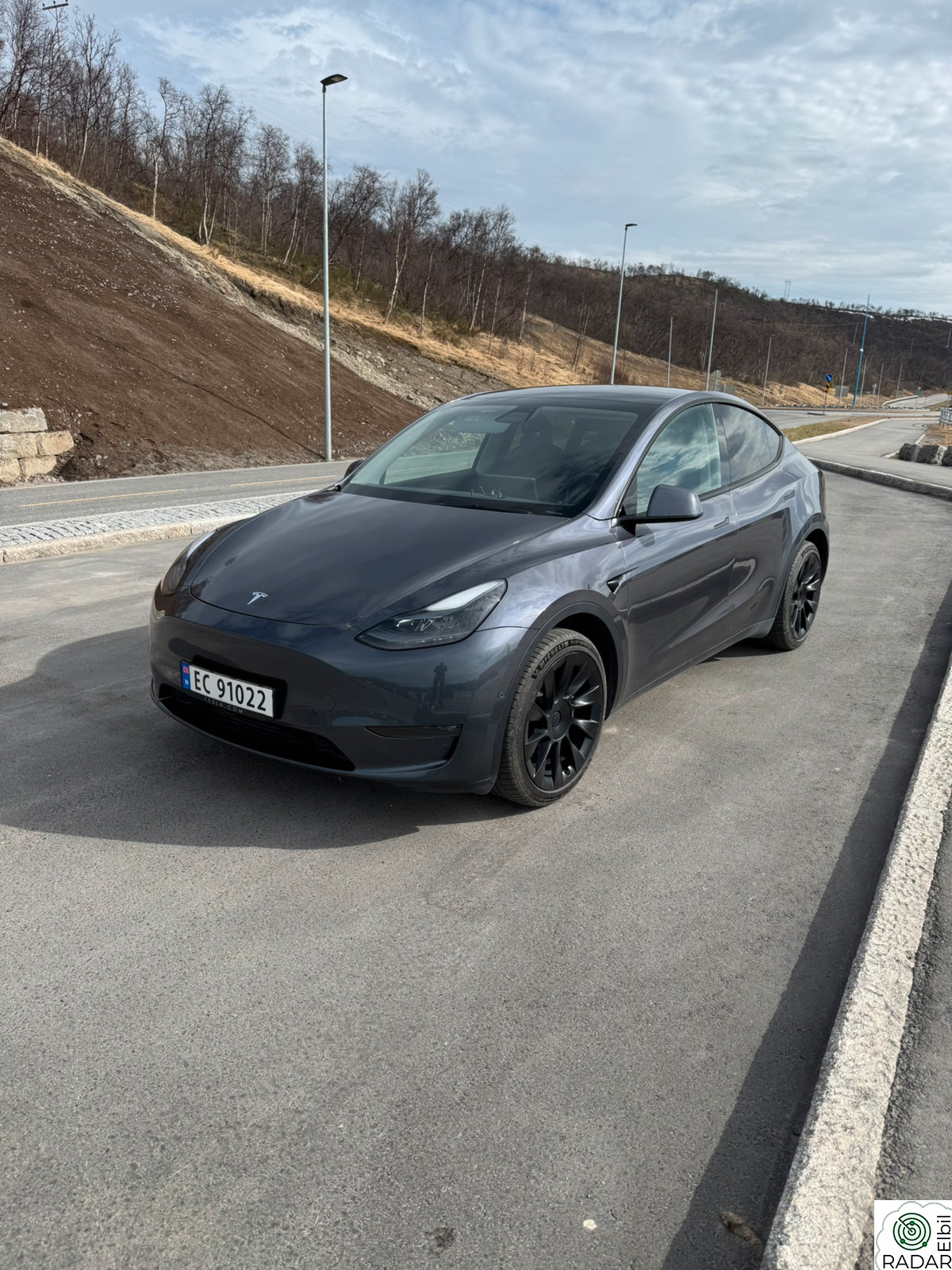TESLA Model Y Long Range AWD