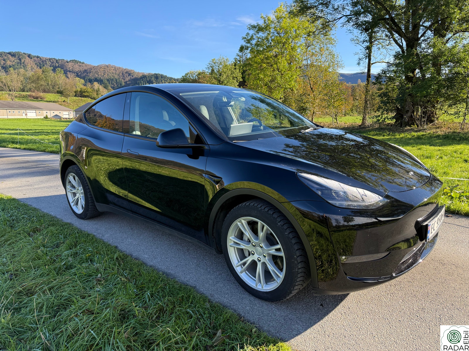 TESLA Model Y Long Range AWD AP Skinn Kamera Panorama
