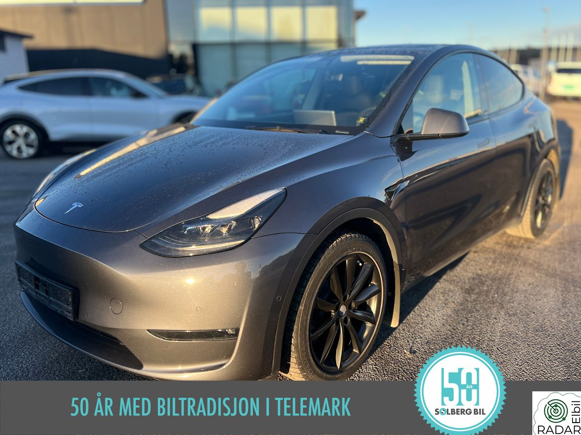 TESLA Model Y LONG.RANGE AWD/ HENGER.F/ V.PUMPE/ PANO