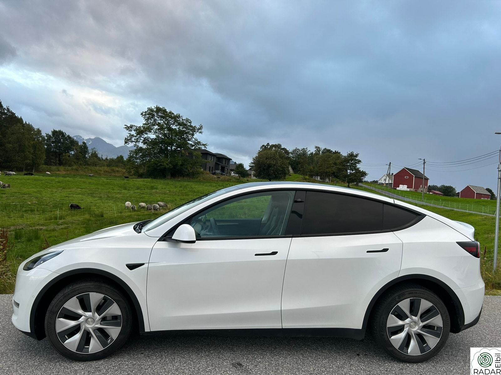 TESLA Model Y Long Range AWD