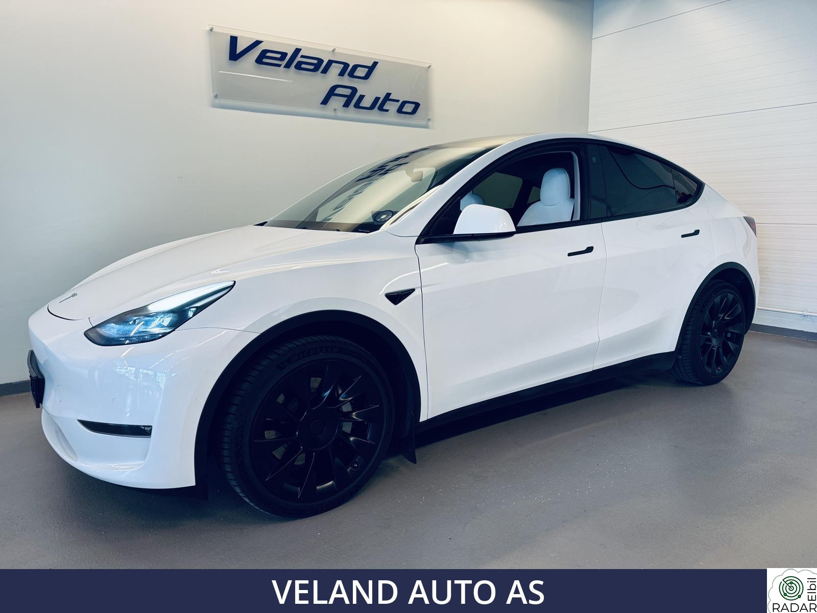 TESLA Model Y LONG RANGE AWD HENGERFESTE/EAP/20" INDUCTION