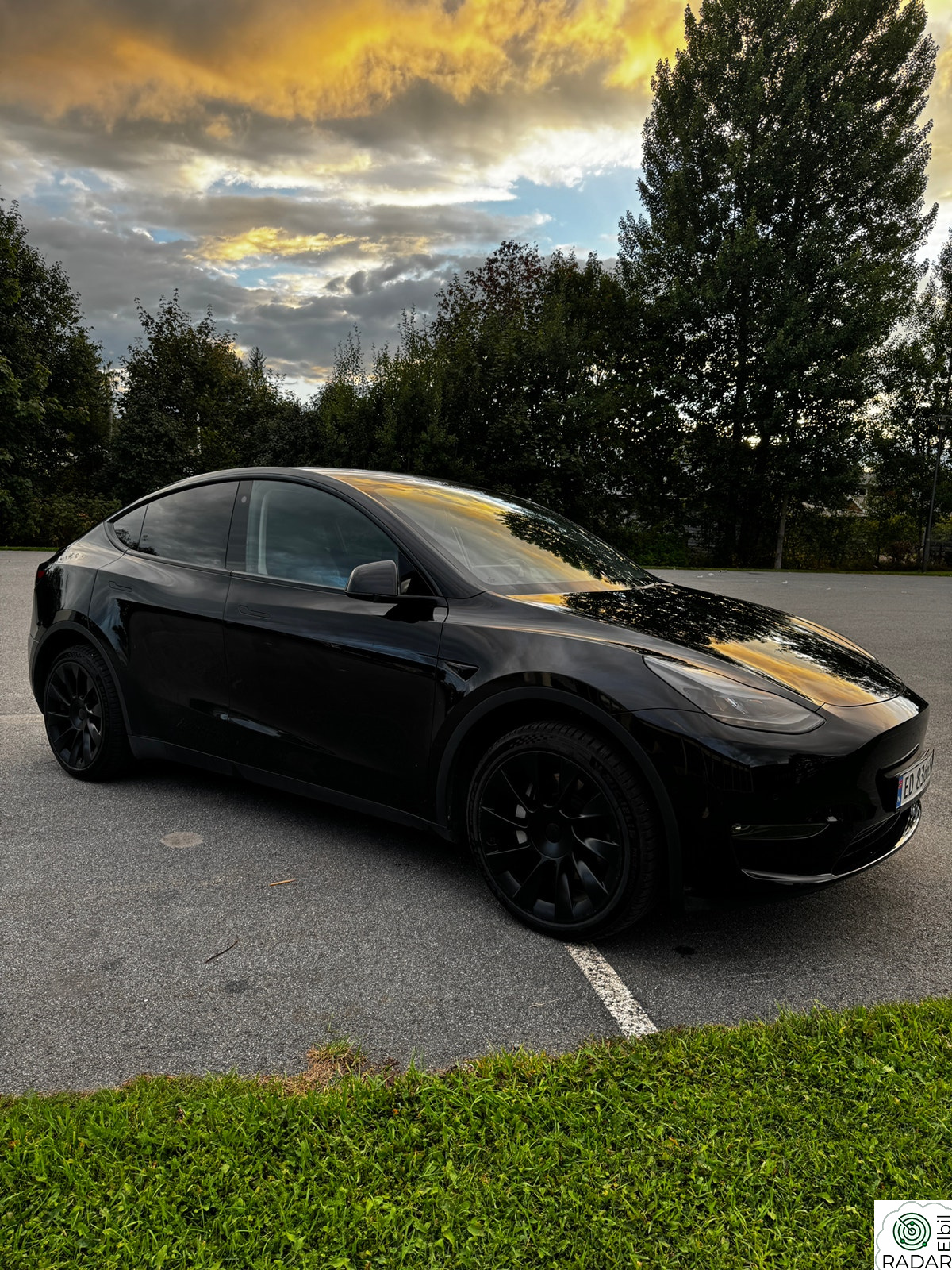 TESLA Model Y Long Range AWD