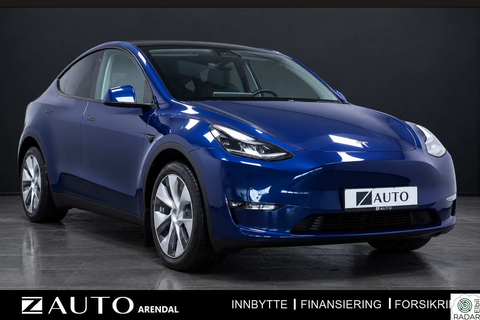 TESLA Model Y LONG RANGE AWD/1EIER/PANO/SKINN/AP/KROK/PREMIUM/S+V