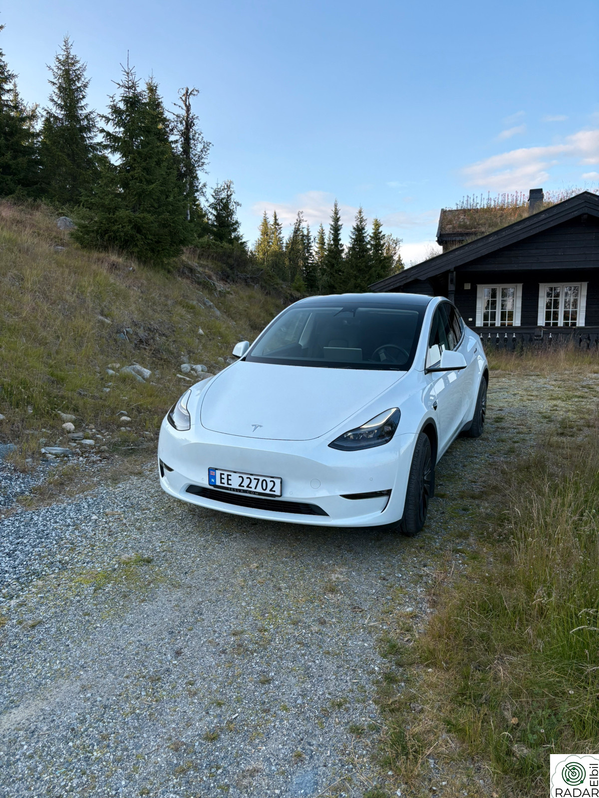 TESLA Model Y Long Range AWD
