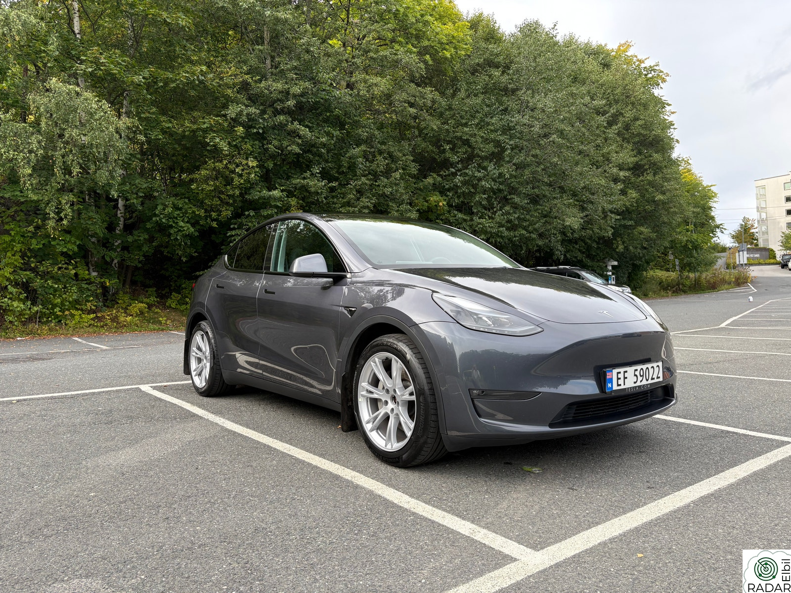 TESLA Model Y Long Range AWD