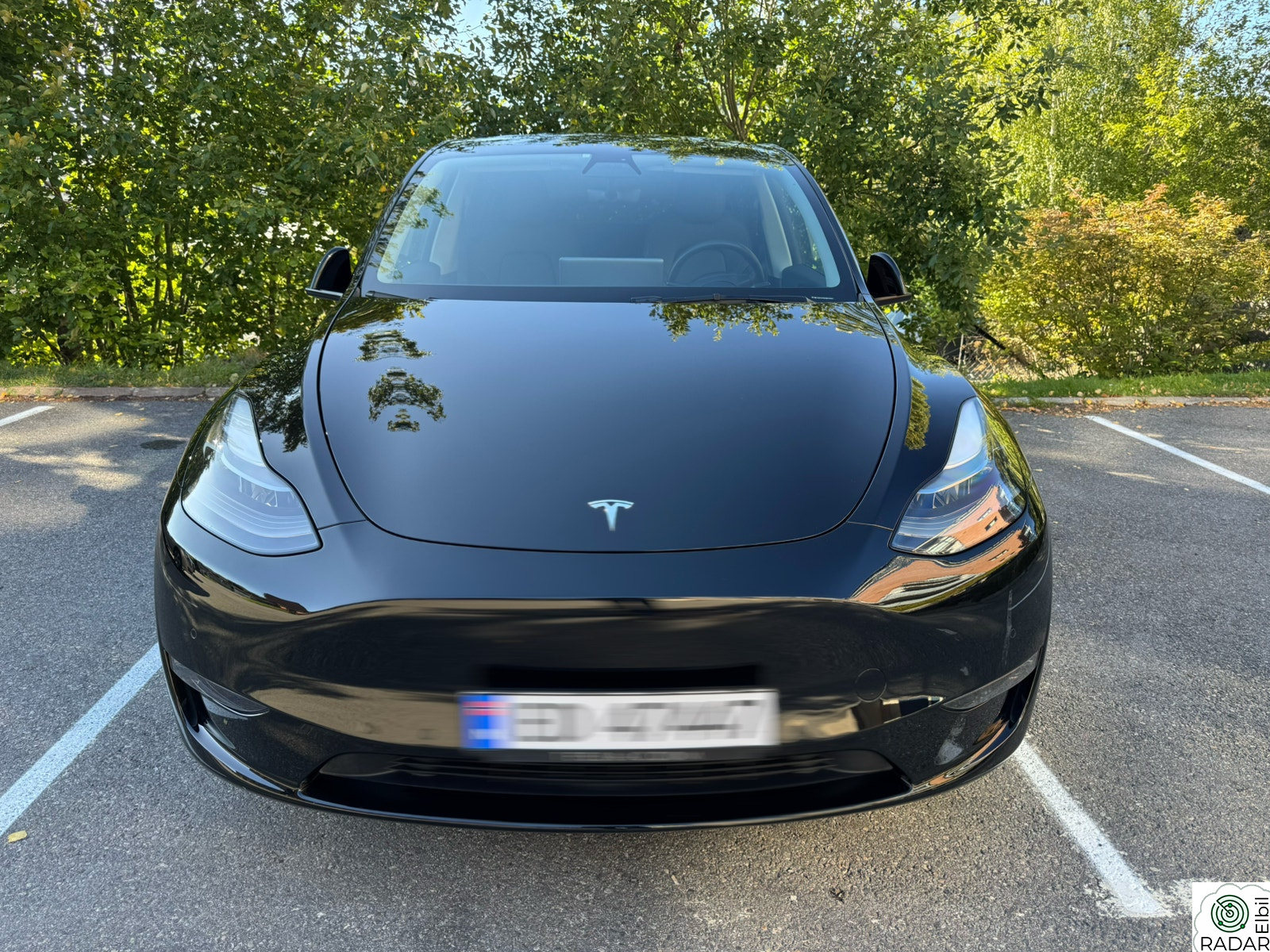 TESLA Model Y Long Range AWD