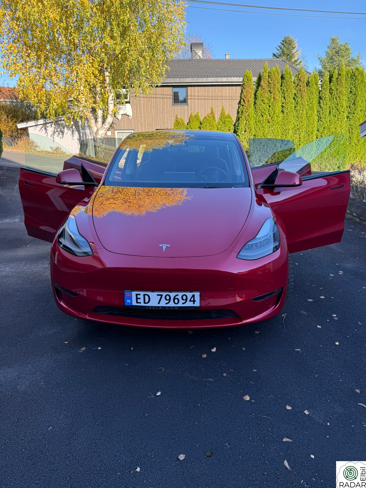 TESLA Model Y