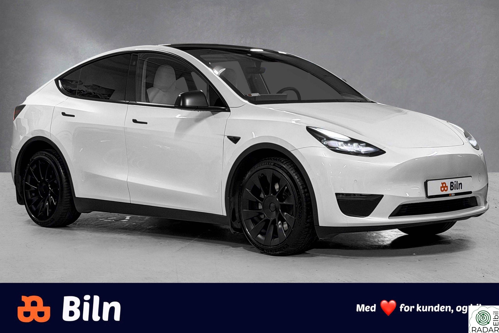 TESLA Model Y Long Range AWD /Krok/ACC/PPF/Skinn/Panorama/Blindsone++
