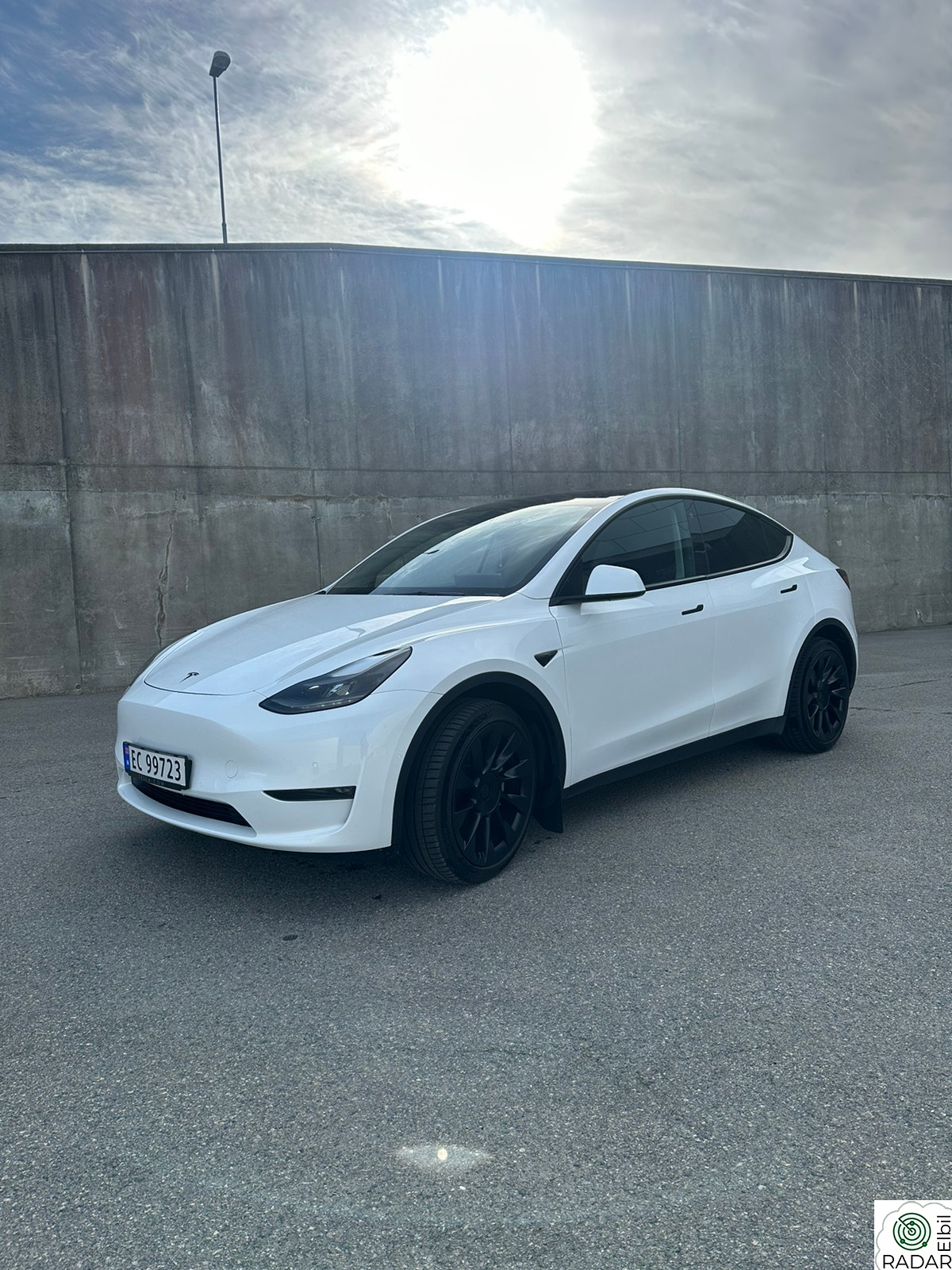 TESLA Model Y Long Range AWD |