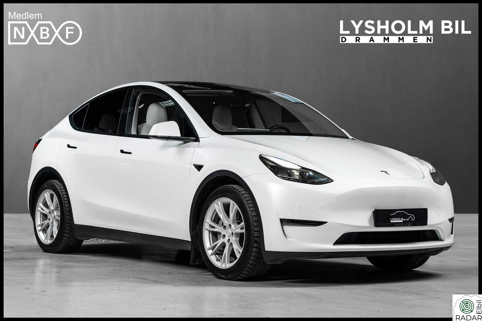 TESLA Model Y Long Range AWD Premium /1eier/Pano/Skinn/Autopilot/LED/