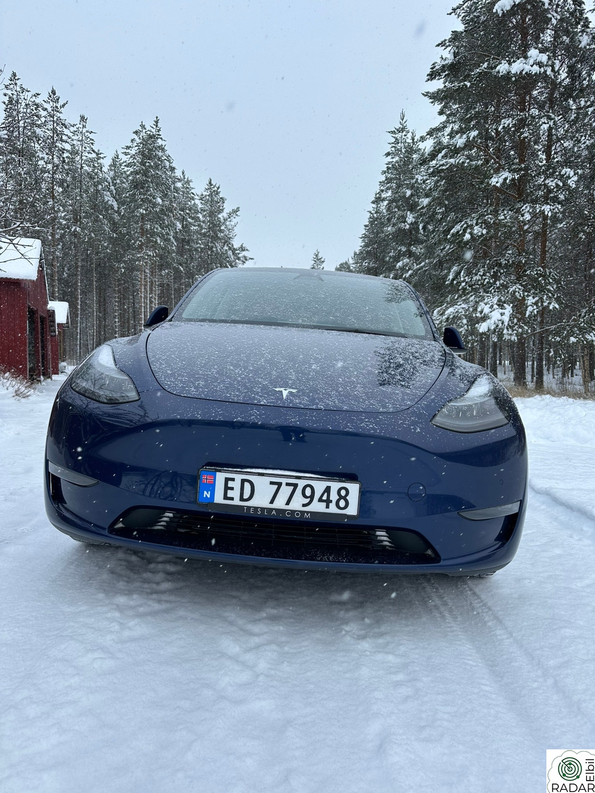 TESLA Model Y Long Range AWD